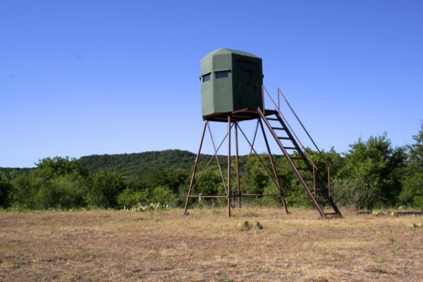 Deer Blind